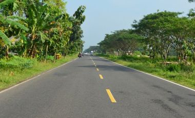 Tanah Kavling Dekat Hutan Mangrove SHM Jalan Daendels