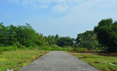 Tanah Kavling Dekat Hutan Mangrove SHM Jalan Daendels