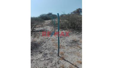 🌟 ¡Oportunidad Única para Inversionistas y Constructores! 🌟

📍 Ubicación Privilegiada: LA MARIPOSA, Piura.
📐 Amplio Terreno: 500.00 m2 - Listo para