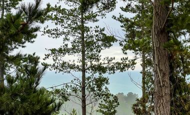 Sitio en Venta en Loteo Alto Boyeruca, Boyeruca