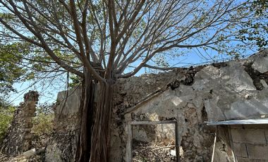Terreno con fachada Colonial en San Roman