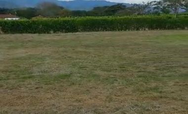 lote en venta en la torre. Cod V14257
