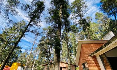Cabaña Acogedora en el Bosque: Tu Refugio Ideal y Oportunidad de Inversión