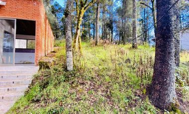Cabaña Acogedora en el Bosque: Tu Refugio Ideal y Oportunidad de Inversión