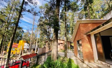 Cabaña Acogedora en el Bosque: Tu Refugio Ideal y Oportunidad de Inversión