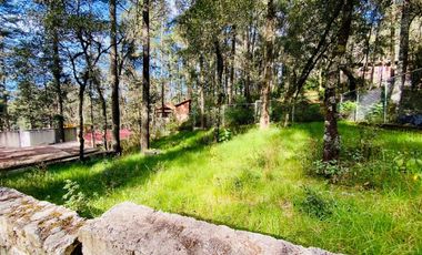 Cabaña Acogedora en el Bosque: Tu Refugio Ideal y Oportunidad de Inversión