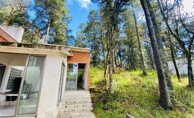 Cabaña Acogedora en el Bosque: Tu Refugio Ideal y Oportunidad de Inversión
