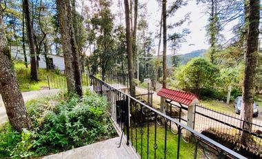 Cabaña Acogedora en el Bosque: Tu Refugio Ideal y Oportunidad de Inversión