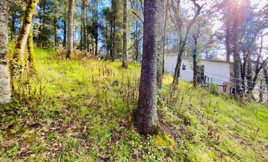 Cabaña Acogedora en el Bosque: Tu Refugio Ideal y Oportunidad de Inversión