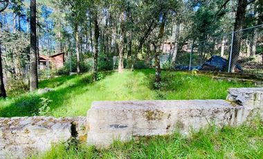 Cabaña Acogedora en el Bosque: Tu Refugio Ideal y Oportunidad de Inversión