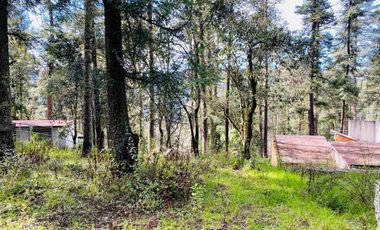 Cabaña Acogedora en el Bosque: Tu Refugio Ideal y Oportunidad de Inversión