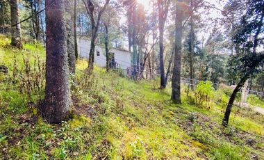 Cabaña Acogedora en el Bosque: Tu Refugio Ideal y Oportunidad de Inversión