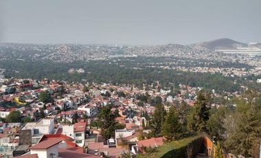 Departamento - Mayorazgos del Bosque