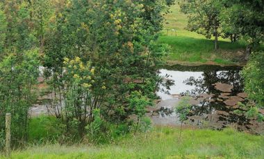 finca en venta en sesquile -nescuata. Cod V3037