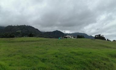 finca en venta en sesquile -nescuata. Cod V3037