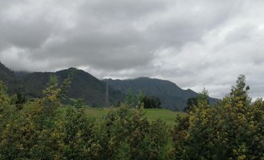 finca en venta en sesquile -nescuata. Cod V3037