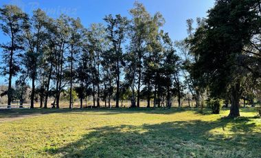 Lote Terreno  En Venta 594 m2 - Parques del Morenito, Moreno Norte