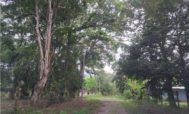 VENDO TERRENO CON CASA DE SEGUNDA CALDERA
