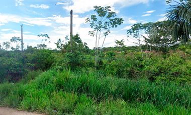 Terrenos Agricolas Venta Fundo La Esperanza - CAMPOVERDE