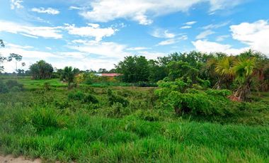 Terrenos Agricolas Venta Fundo La Esperanza - CAMPOVERDE