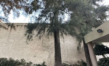 VENTA TERRENO TERRAZA JARDIN AL SUR DE AGS EN JARDINES DE LA ASUNCION 300M2