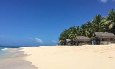 Beachfront Lot for Sale in Siargao, Surigao del Norte