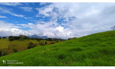 VENTA LOTE TARSO, SUROESTE ANTIOQUEÑO