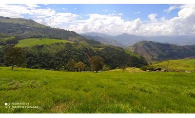 VENTA LOTE TARSO, SUROESTE ANTIOQUEÑO