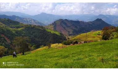 VENTA LOTE TARSO, SUROESTE ANTIOQUEÑO