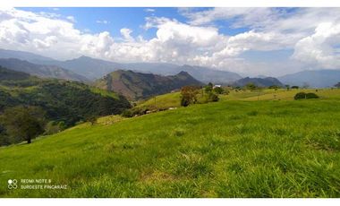 VENTA LOTE TARSO, SUROESTE ANTIOQUEÑO