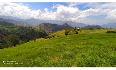 VENTA LOTE TARSO, SUROESTE ANTIOQUEÑO