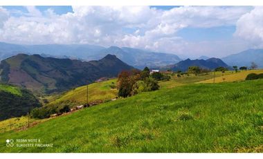 VENTA LOTE TARSO, SUROESTE ANTIOQUEÑO