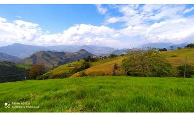VENTA LOTE TARSO, SUROESTE ANTIOQUEÑO