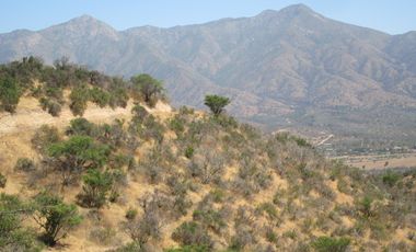 VENDEN DE 9 PARCELAS EN BUEN CONDOMINIO SECTOR ALHUE ¡¡ DISPONIBLES DESDE UF1200