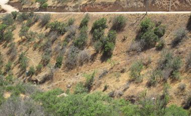 VENDEN DE 9 PARCELAS EN BUEN CONDOMINIO SECTOR ALHUE ¡¡ DISPONIBLES DESDE UF1200