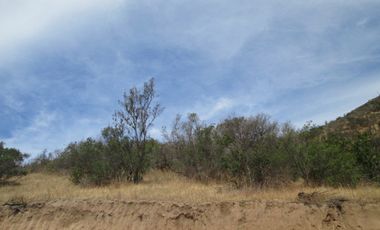 VENDEN DE 9 PARCELAS EN BUEN CONDOMINIO SECTOR ALHUE ¡¡ DISPONIBLES DESDE UF1200