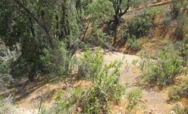 VENDEN DE 9 PARCELAS EN BUEN CONDOMINIO SECTOR ALHUE ¡¡ DISPONIBLES DESDE UF1200