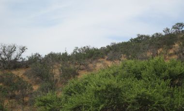 VENDEN DE 9 PARCELAS EN BUEN CONDOMINIO SECTOR ALHUE ¡¡ DISPONIBLES DESDE UF1200