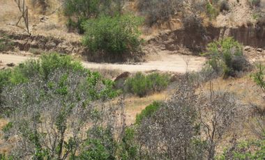 VENDEN DE 9 PARCELAS EN BUEN CONDOMINIO SECTOR ALHUE ¡¡ DISPONIBLES DESDE UF1200