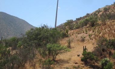 VENDEN DE 9 PARCELAS EN BUEN CONDOMINIO SECTOR ALHUE ¡¡ DISPONIBLES DESDE UF1200