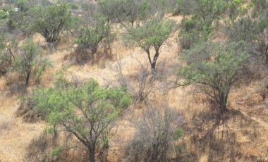 VENDEN DE 9 PARCELAS EN BUEN CONDOMINIO SECTOR ALHUE ¡¡ DISPONIBLES DESDE UF1200