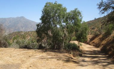 VENDEN DE 9 PARCELAS EN BUEN CONDOMINIO SECTOR ALHUE ¡¡ DISPONIBLES DESDE UF1200