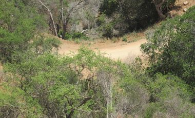 VENDEN DE 9 PARCELAS EN BUEN CONDOMINIO SECTOR ALHUE ¡¡ DISPONIBLES DESDE UF1200