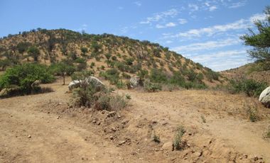 VENDEN DE 9 PARCELAS EN BUEN CONDOMINIO SECTOR ALHUE ¡¡ DISPONIBLES DESDE UF1200