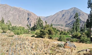VENDO CASA DE CAMPO 3248 M2 HUAYLLABAMBA URUBAMBA CUSCO PERU