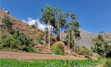 VENDO CASA DE CAMPO 3248 M2 HUAYLLABAMBA URUBAMBA CUSCO PERU