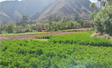 VENDO CASA DE CAMPO 3248 M2 HUAYLLABAMBA URUBAMBA CUSCO PERU