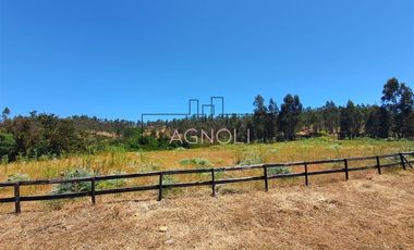 Sitio en Venta en alto centinela