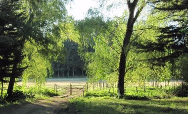 Agrícola en Venta en San Pablo, Sector Trumao