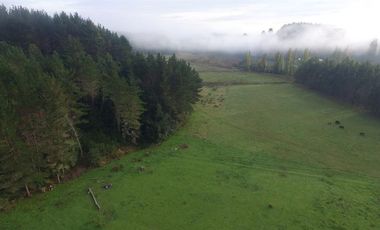Agrícola en Venta en San Pablo, Sector Trumao